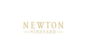 Newton логотип