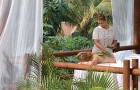 Кактусовый массаж в Four Seasons Resort Punta Mita