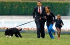 Обама с Детьми выгуливают Бо