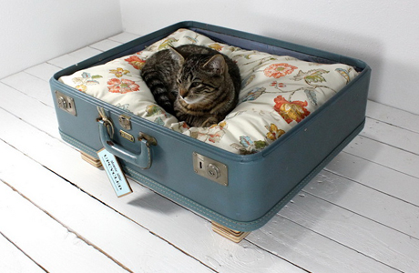 чемодан для кошки