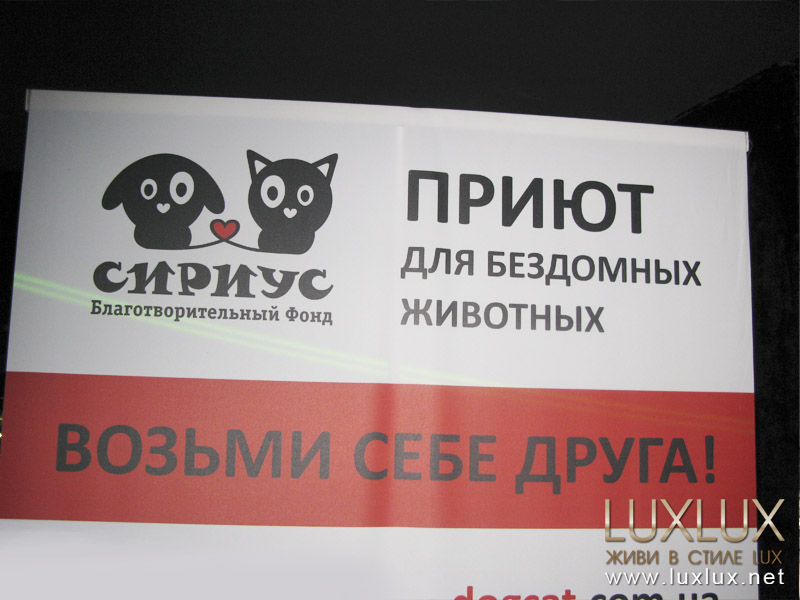  Сегодня в «Сириусе» обитает около 1,5 тыс. собак и кошек