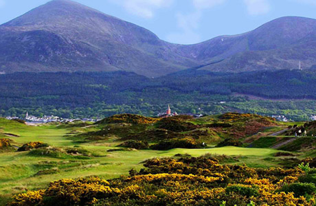 Поле для гольфа Royal County Down Golf Club