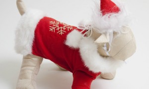 Стиль жизни, Новый год : DogCat Boutiquе- новогодние костюмчики для собак