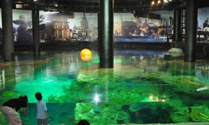 Огромный аквариум