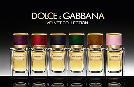 Красота и здоровье : Velvet Collection – это новая коллекция ароматов от Dolce & Gabbana