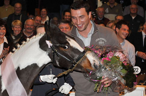 Новости :  Владимир Кличко купил лошадь на благотворительном аукционе