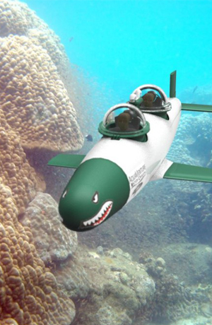 Частная подводная лодка SeaBird