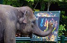 слон рисует