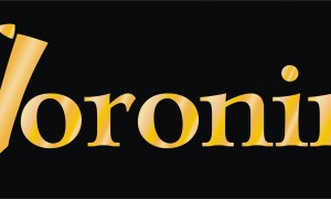 воронин-logo