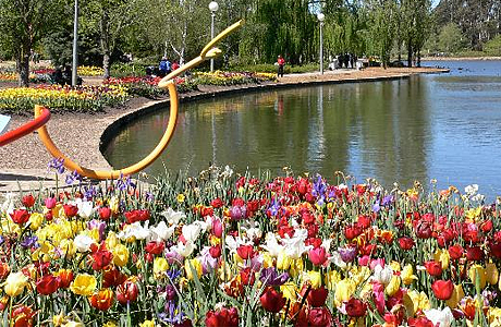 Выставки цветов в Нидерландах Floriade