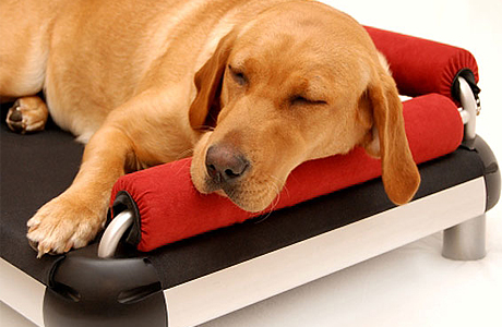 Мебель для собак Doggy Snooze