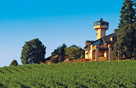 винный дом Willamette Valley Vineyards