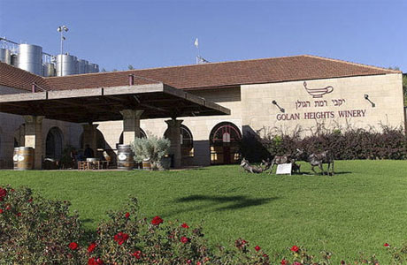 Лучшее вино Golan Heights Winery3