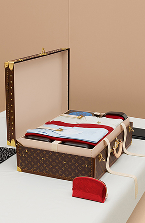 багаж в чемодане Louis Vuitton