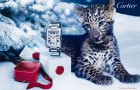 Подарки к Новому году от Cartier