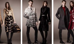 Обзор коллекций модной одежды: Gucci,Calvin Klein,Burberry