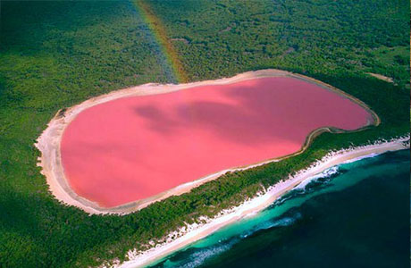 Хиллер: розовое озеро