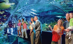 В Канаде открыли самый большой аквариум