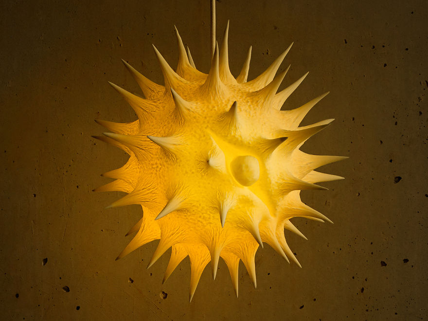 10_Pollen-Lamps_Close-up_Sunflower-pollen-591f26907f549__880