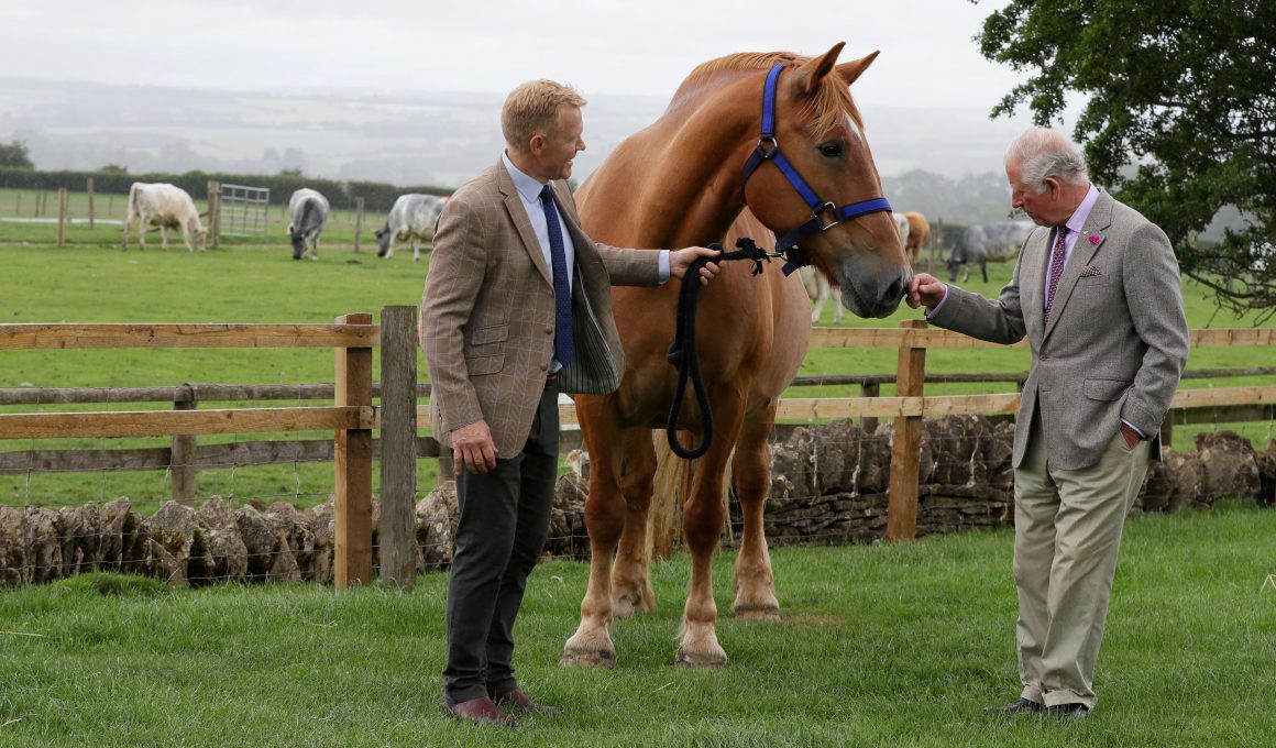 Adam Henson Net Worth in 2023 - Wiki, Age, Weight and Height