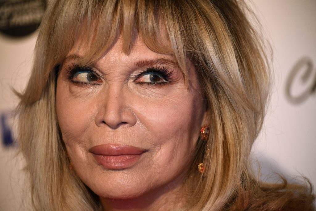 Amanda Lear Net Worth - Wiki, Age, Weight and Height, Relationships ...