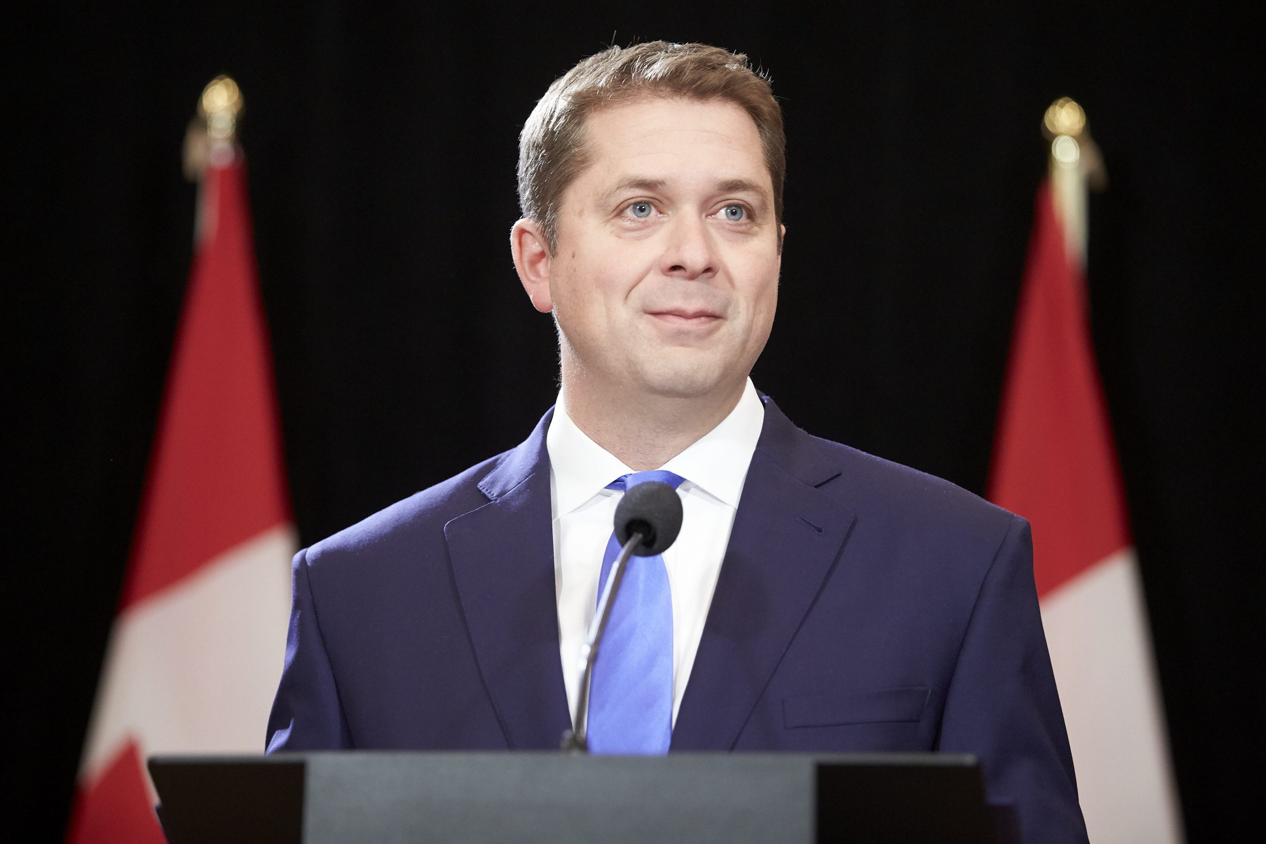 Andrew Scheer