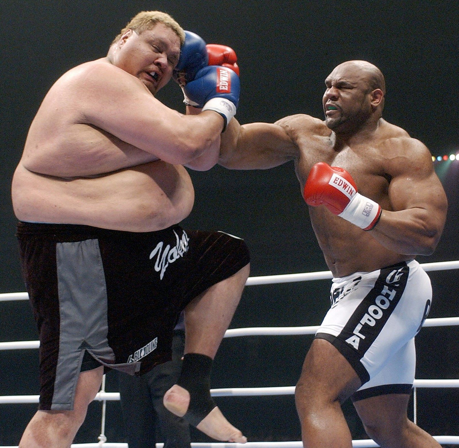 Bob Sapp Net Worth - Wiki, Age, Weight and Height, Relationships, Family,  and More - LuxLux