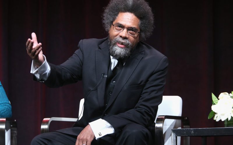 Cornel West Net Worth Wiki, Age, Weight and Height, Relationships