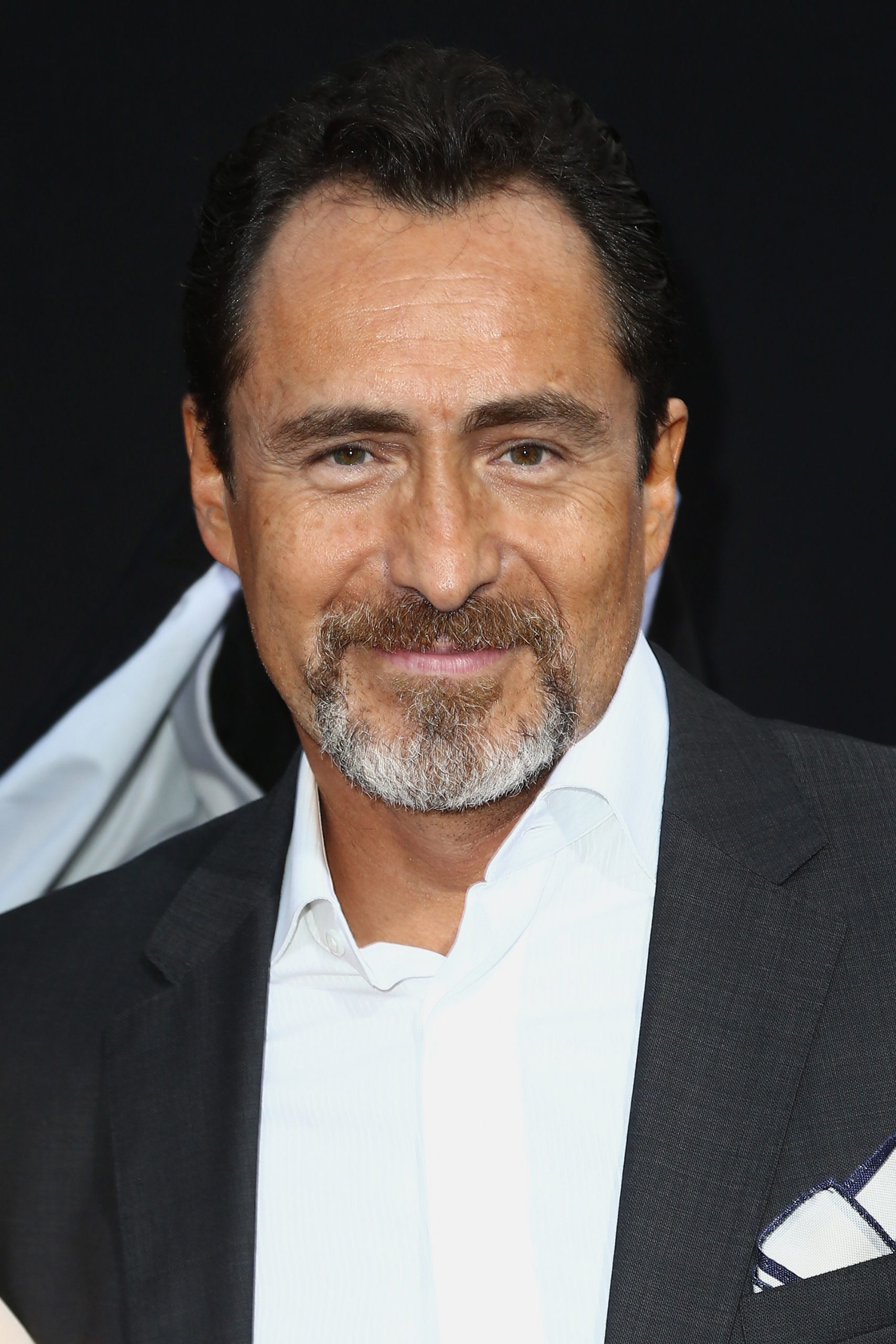 Demian Bichir