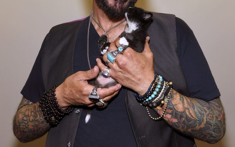 Jackson Galaxy