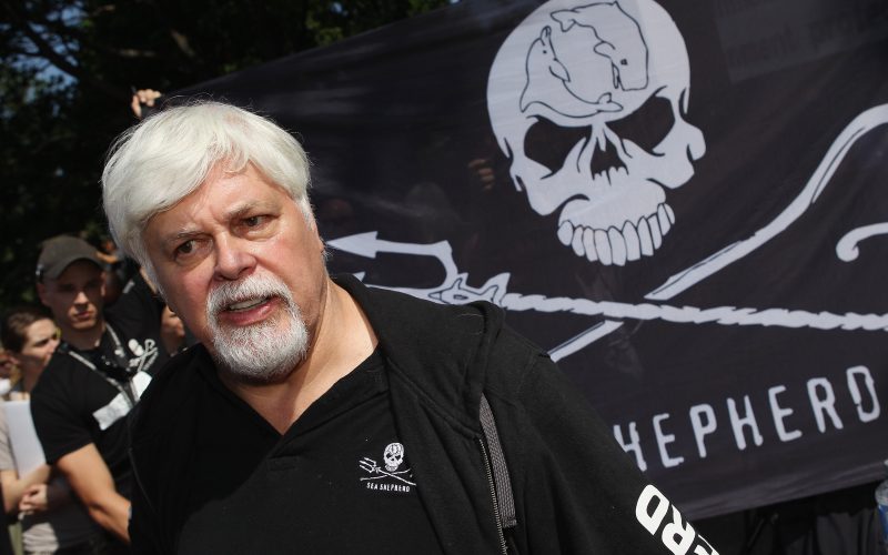 Paul Watson