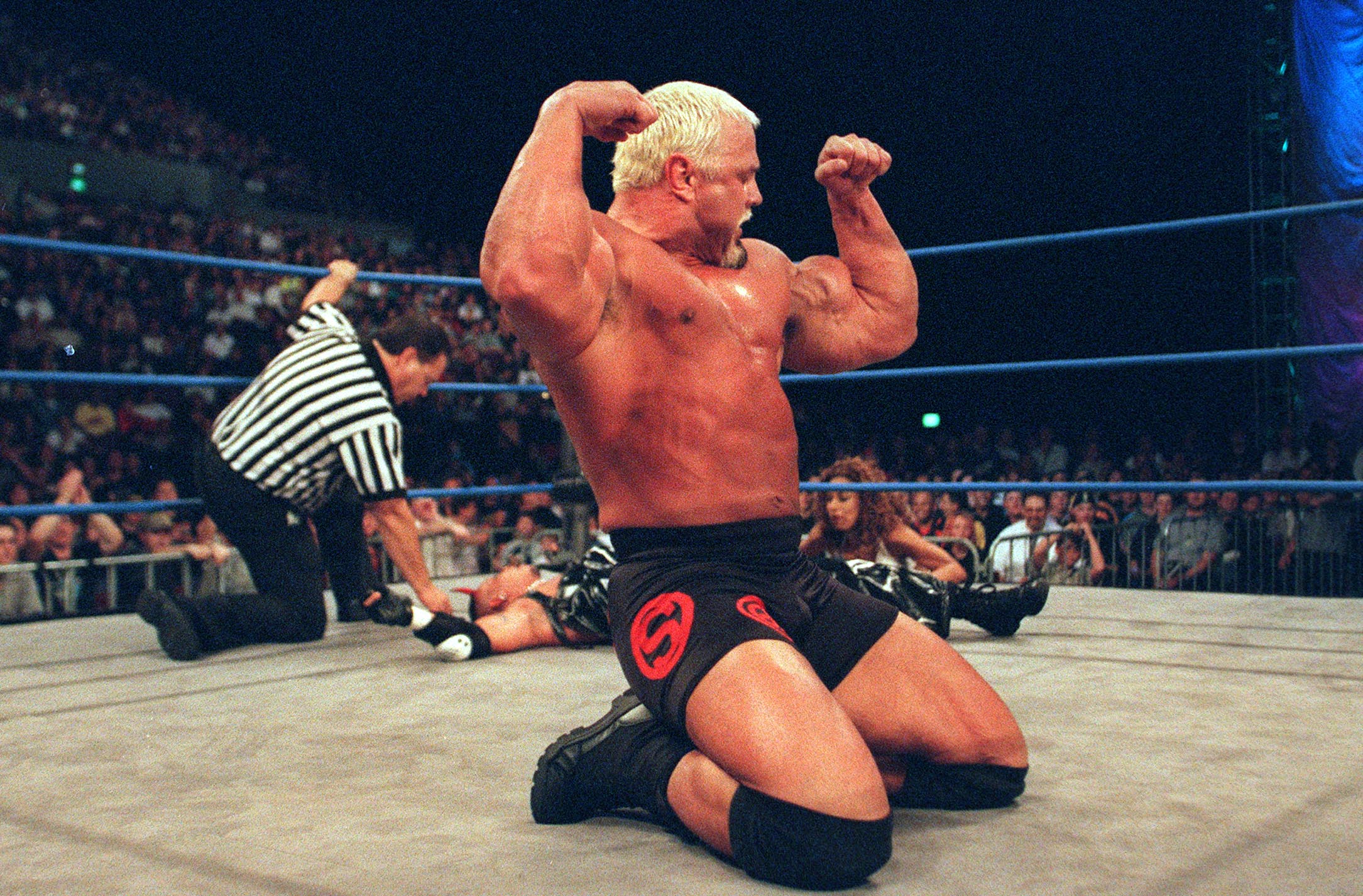 Scott Steiner