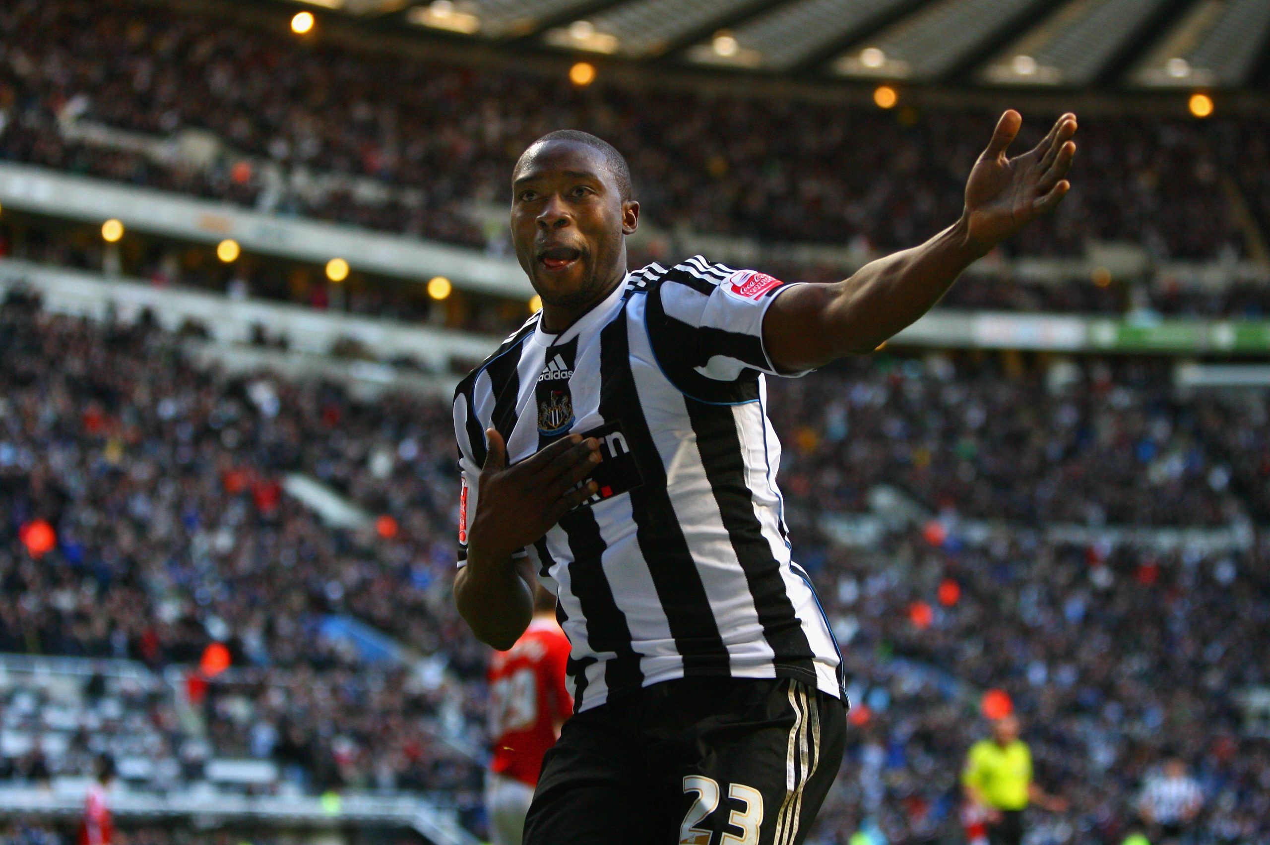 Shola Ameobi