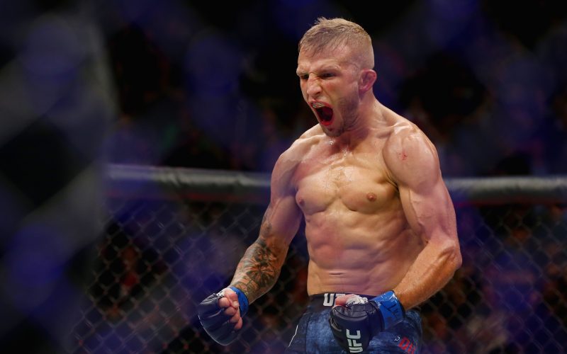 T.J. Dillashaw