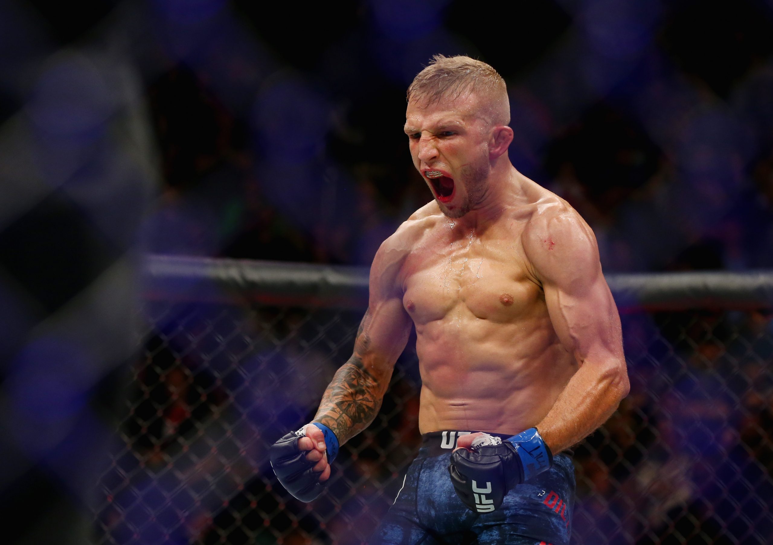 T.J. Dillashaw