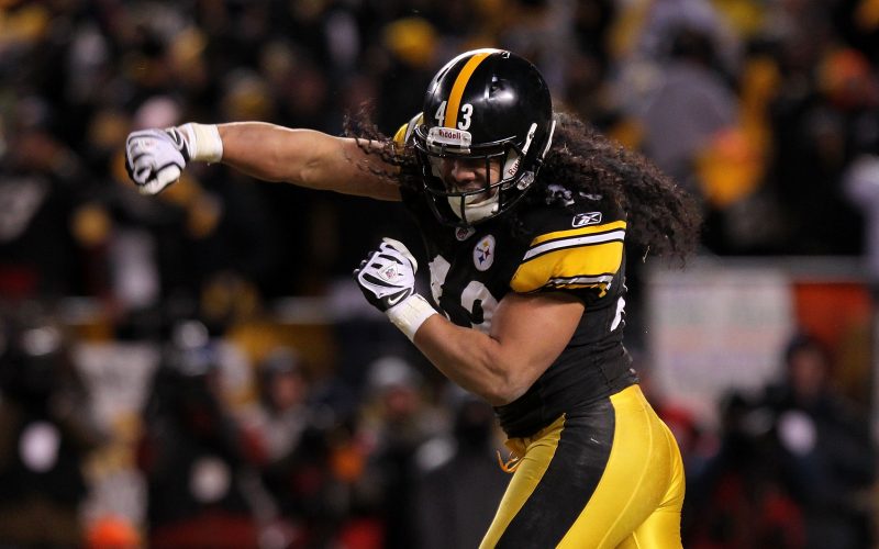 Troy Polamalu