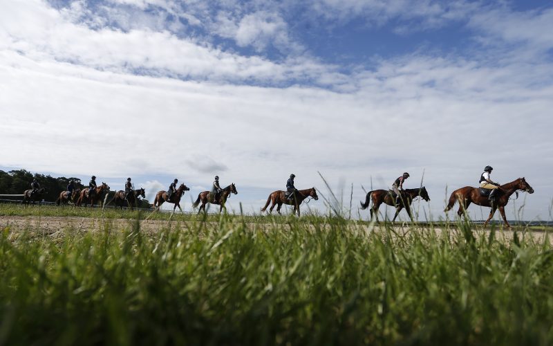 Warren Hill