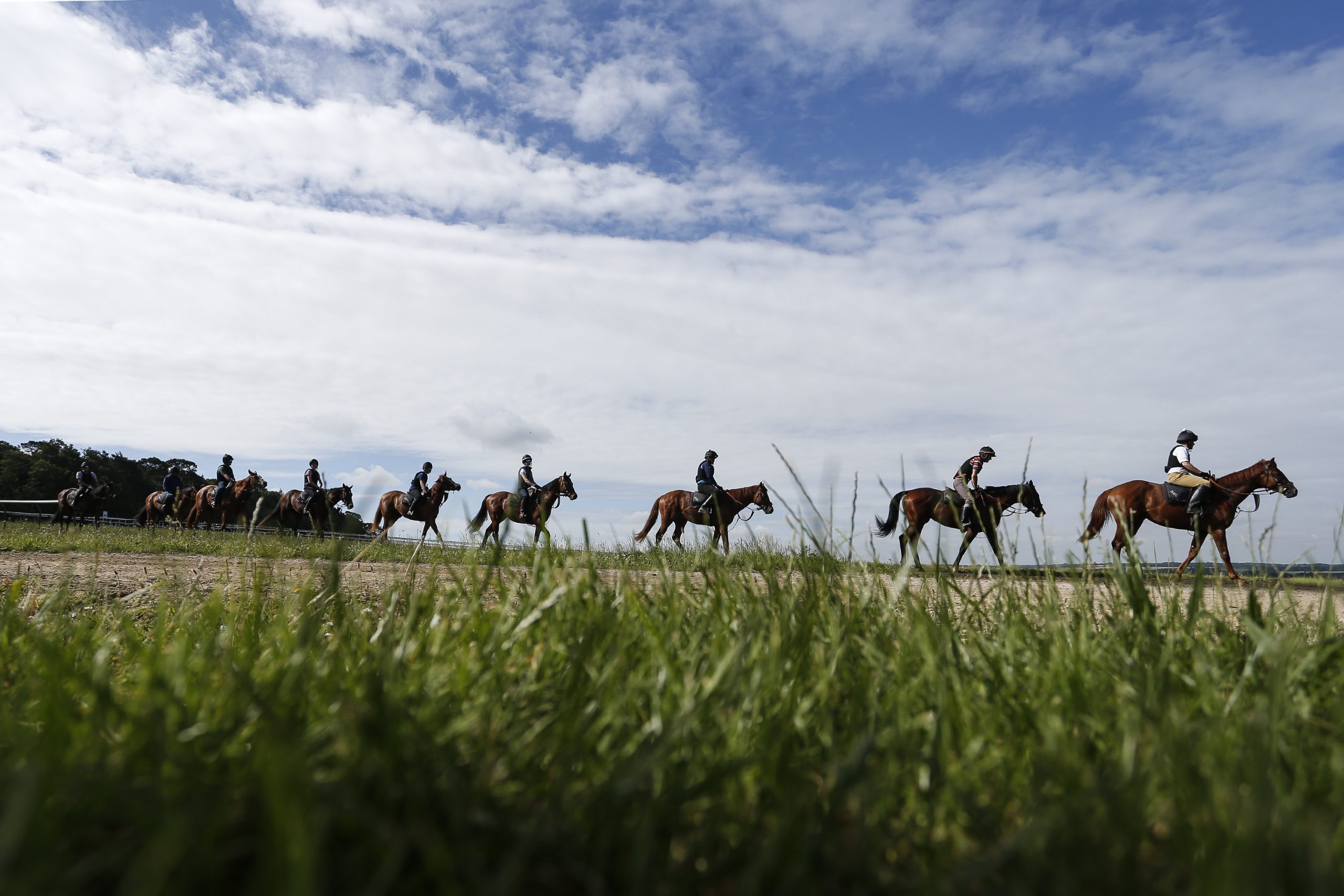 Warren Hill