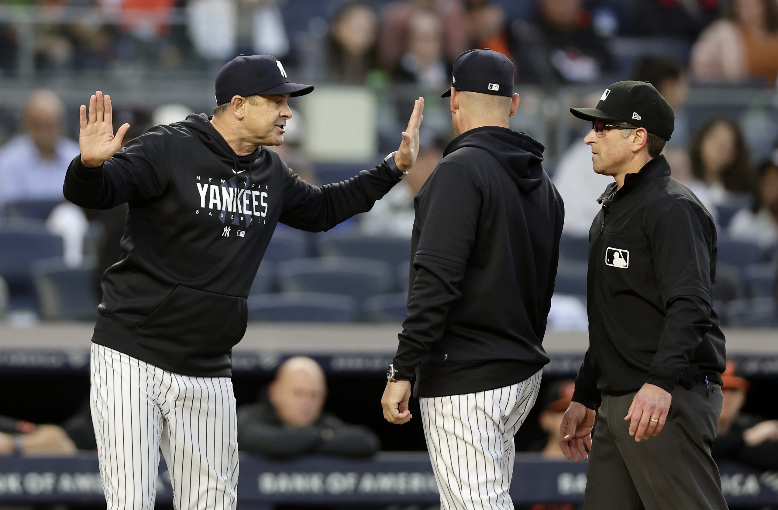 Aaron Boone photo 2