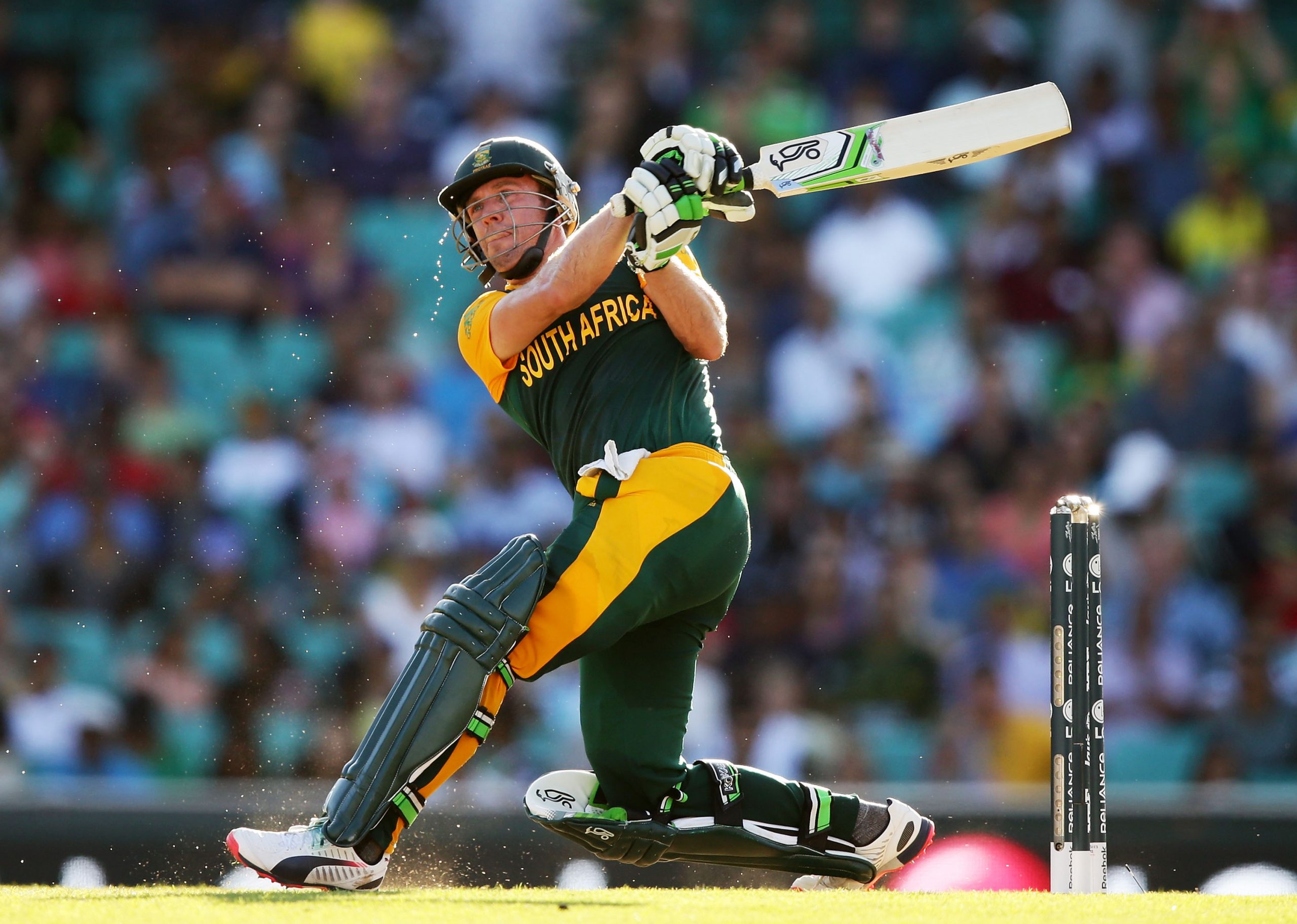 AB Devilliers photo 2