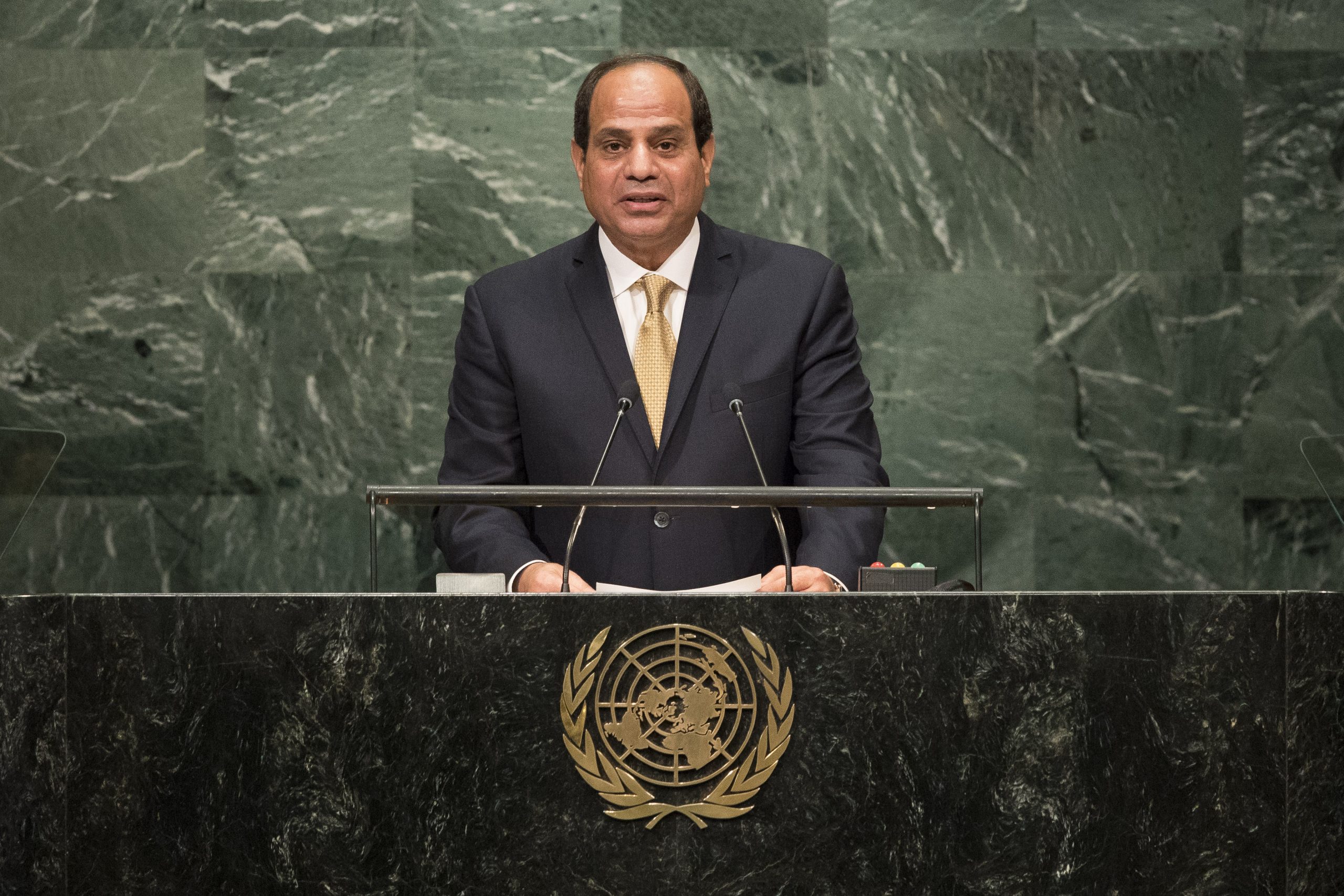 Abdel Fattah el-Sisi photo 2