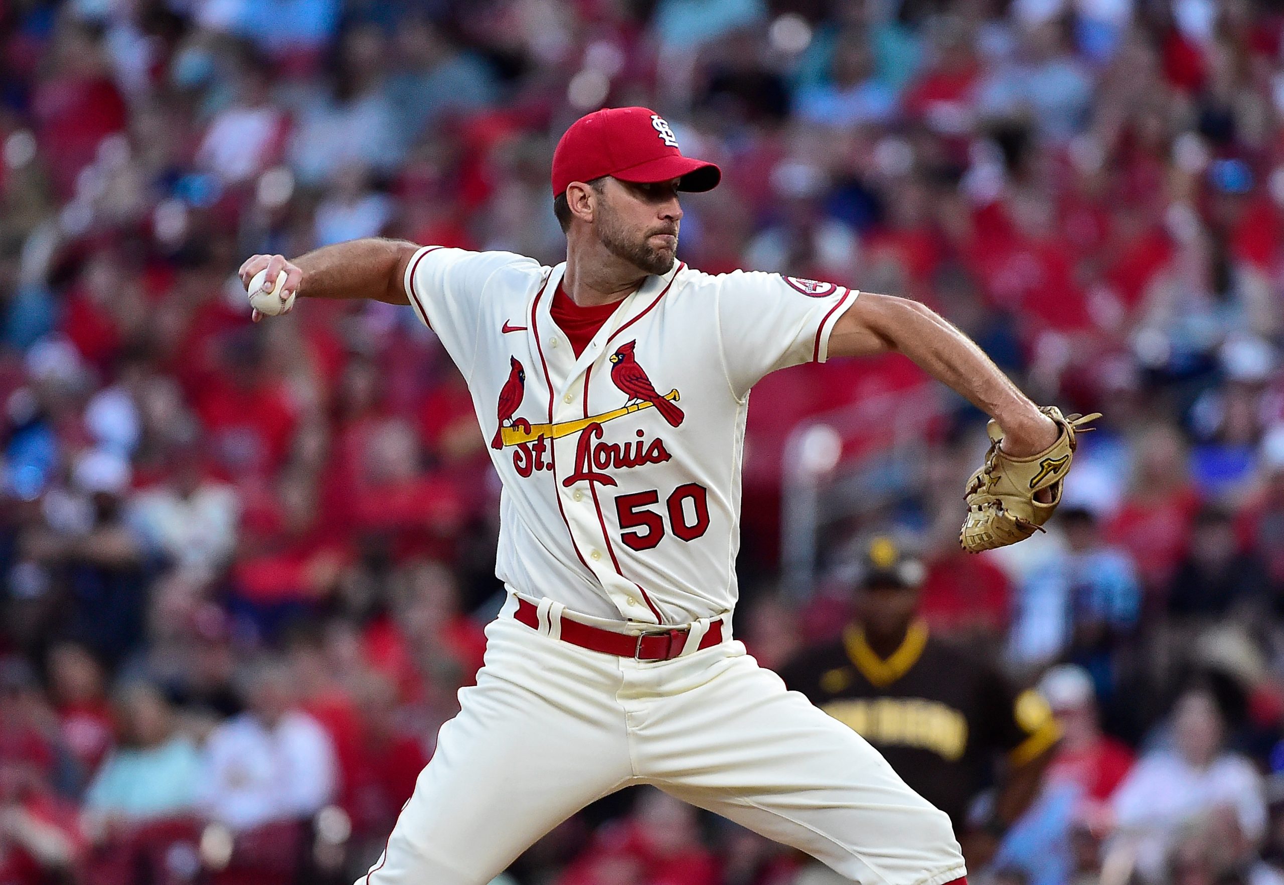 Adam Wainwright photo