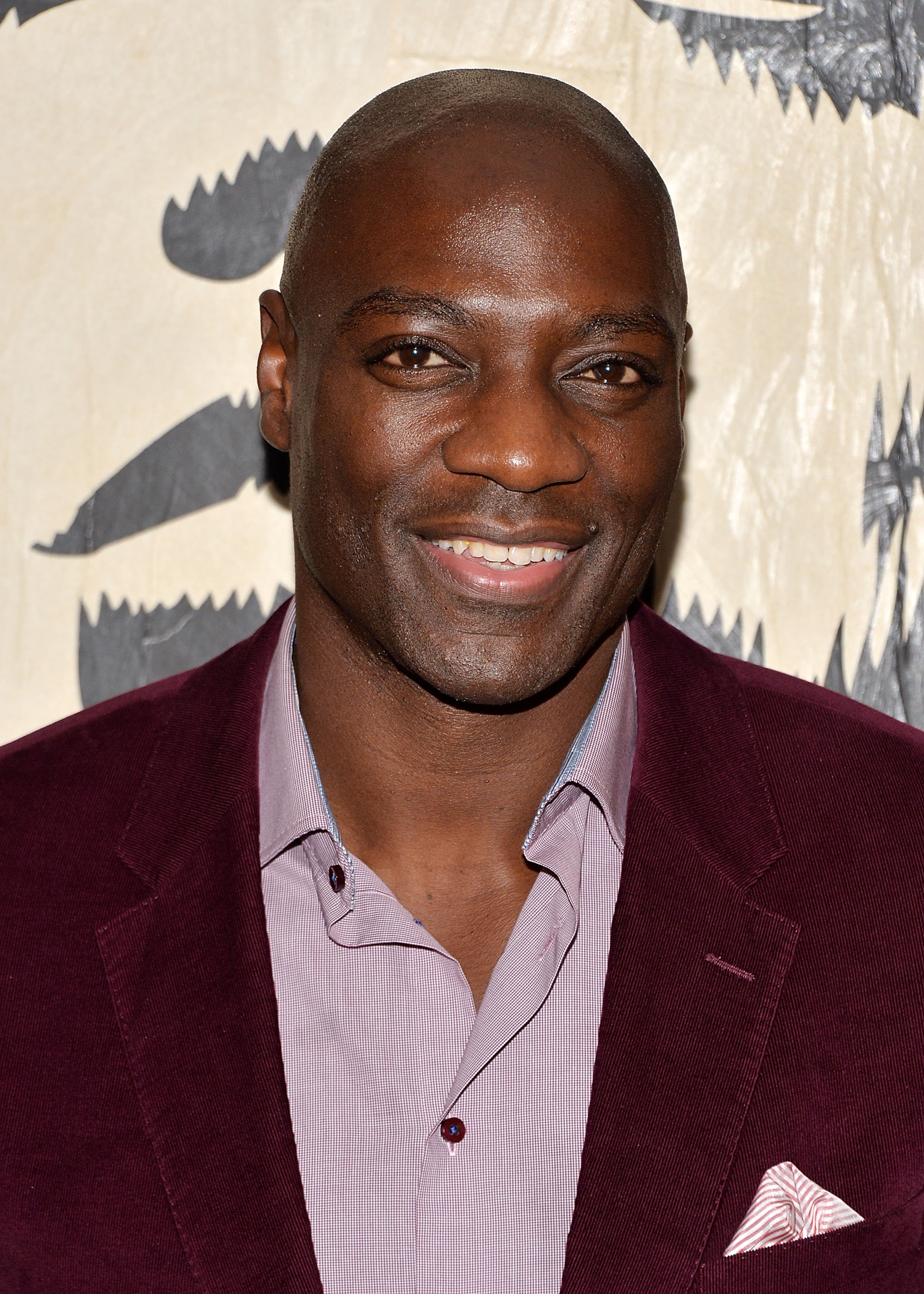 Adewale Akinnuoye-Agbaje photo 2