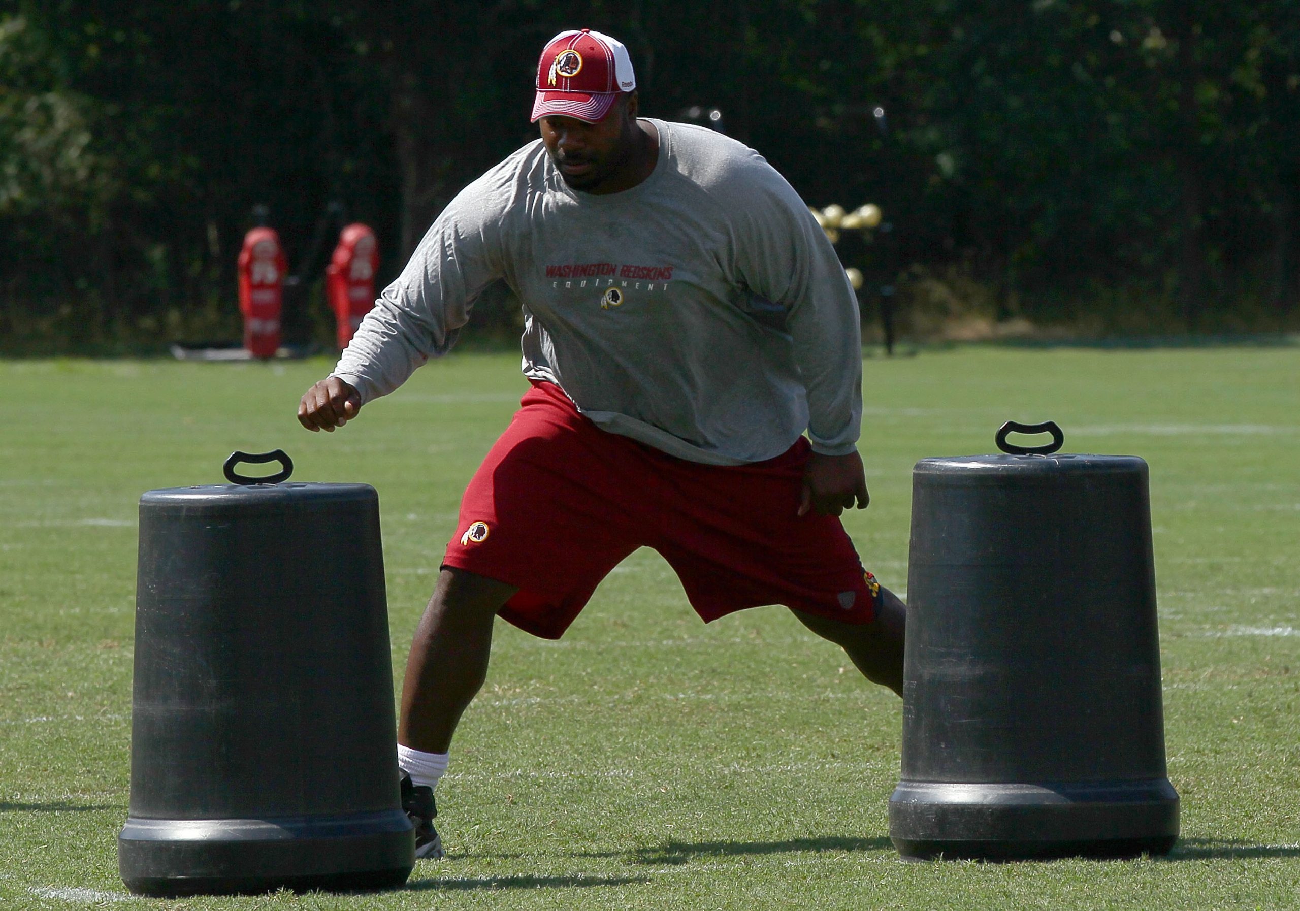 Albert Haynesworth photo 3