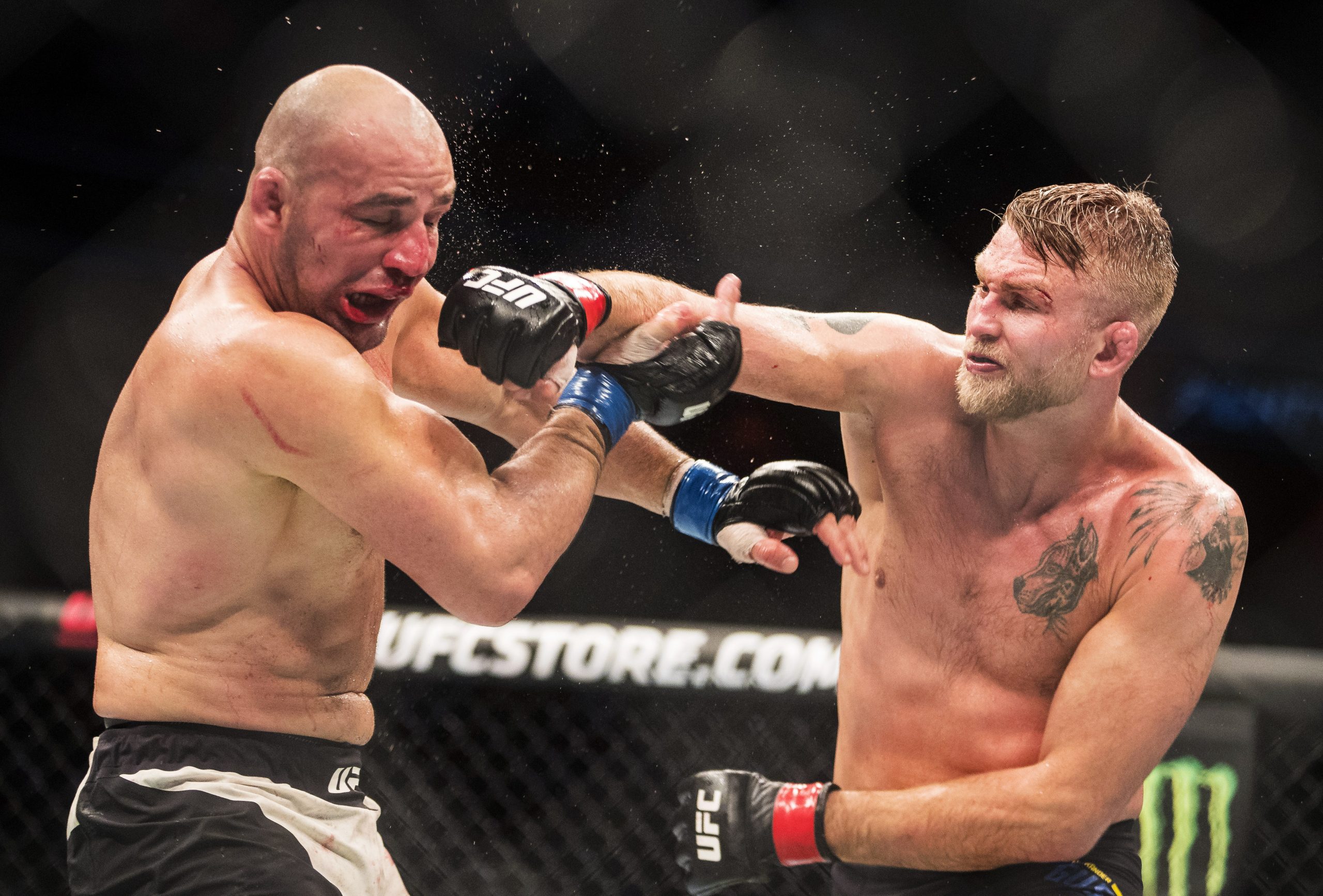 Alexander Gustafsson photo