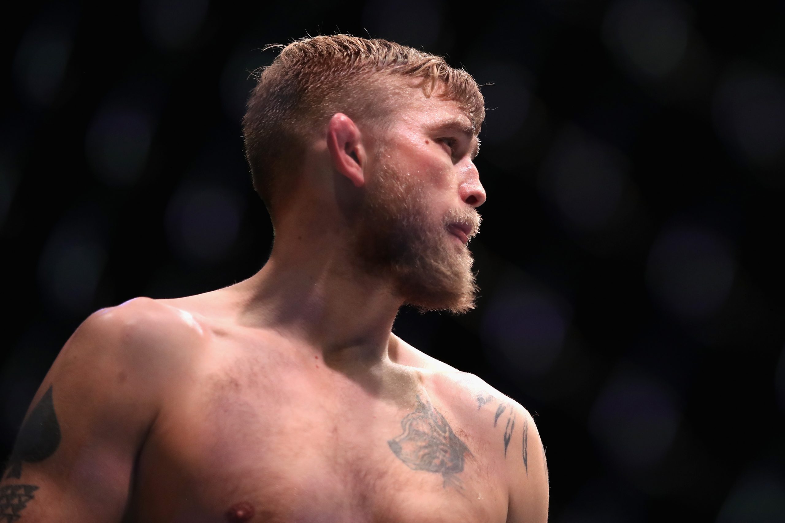 Alexander Gustafsson photo 3