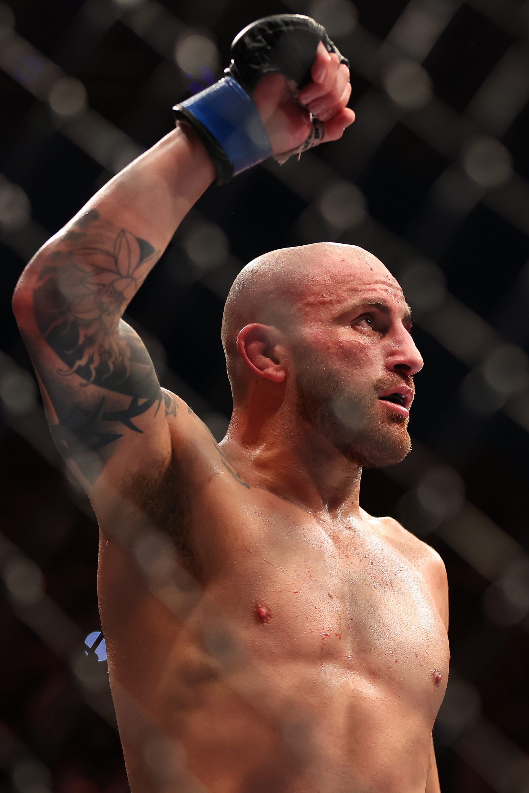 Alexander Volkanovski photo 2