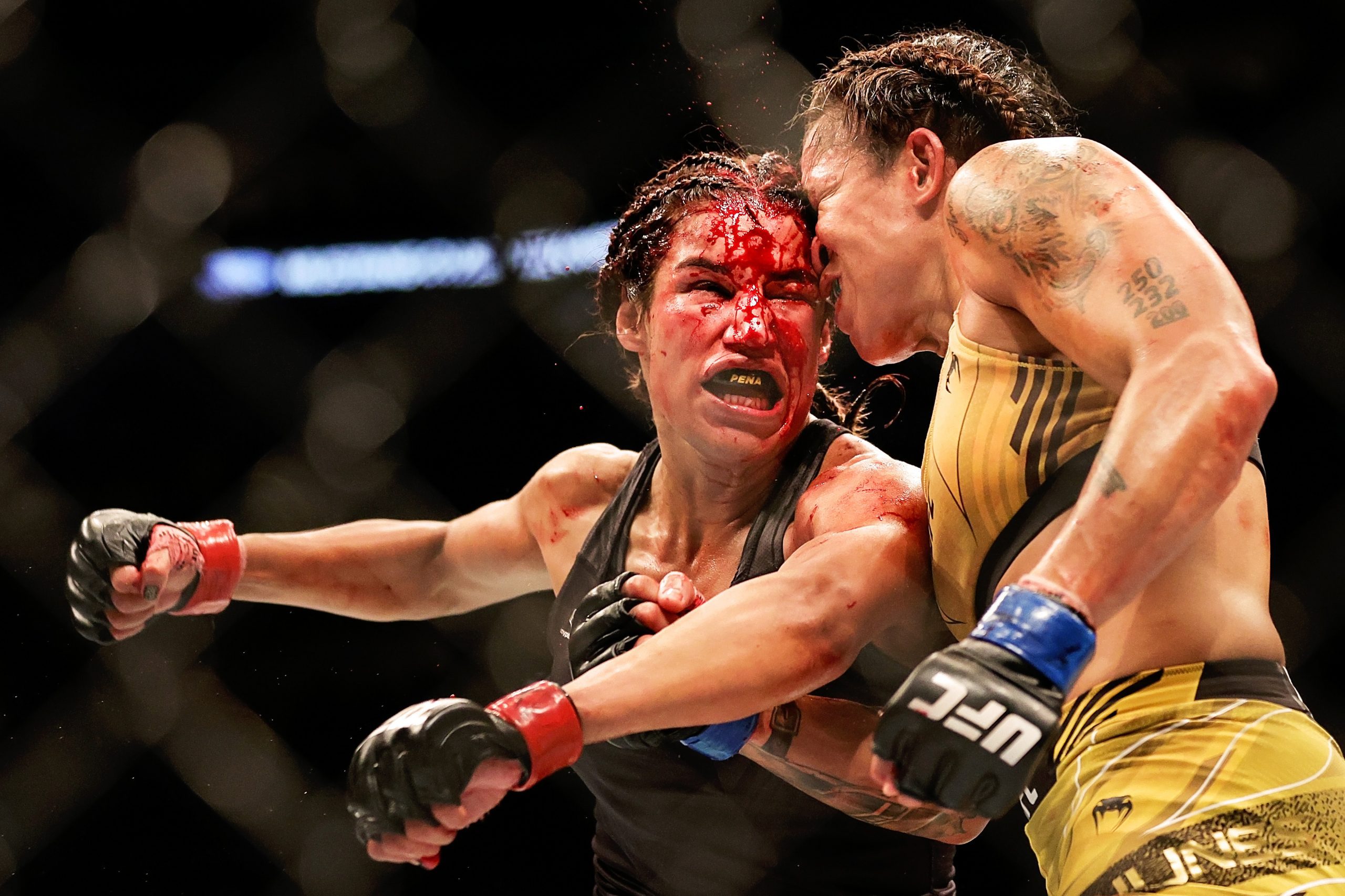 Amanda Nunes photo