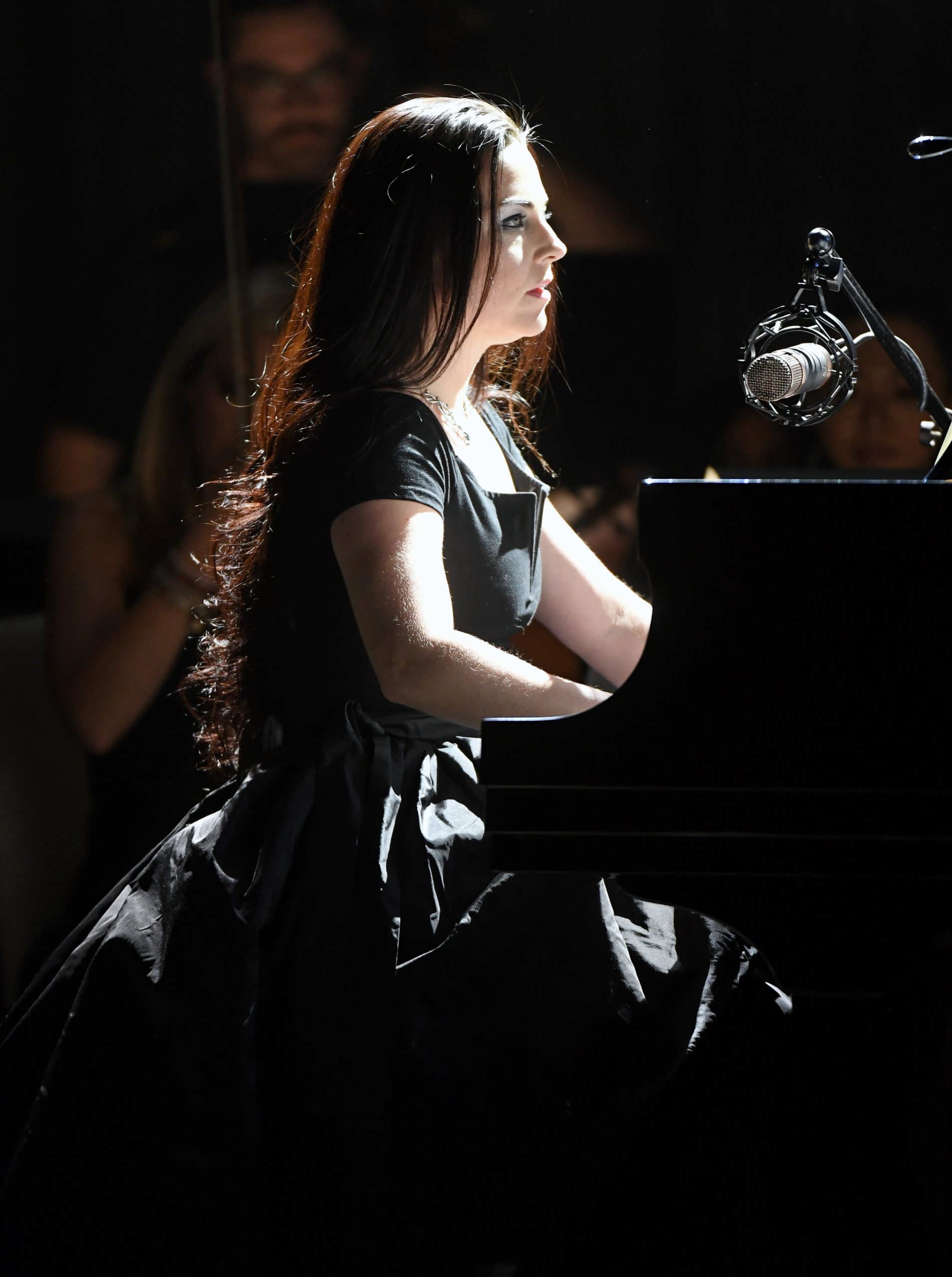 Amy Lee photo