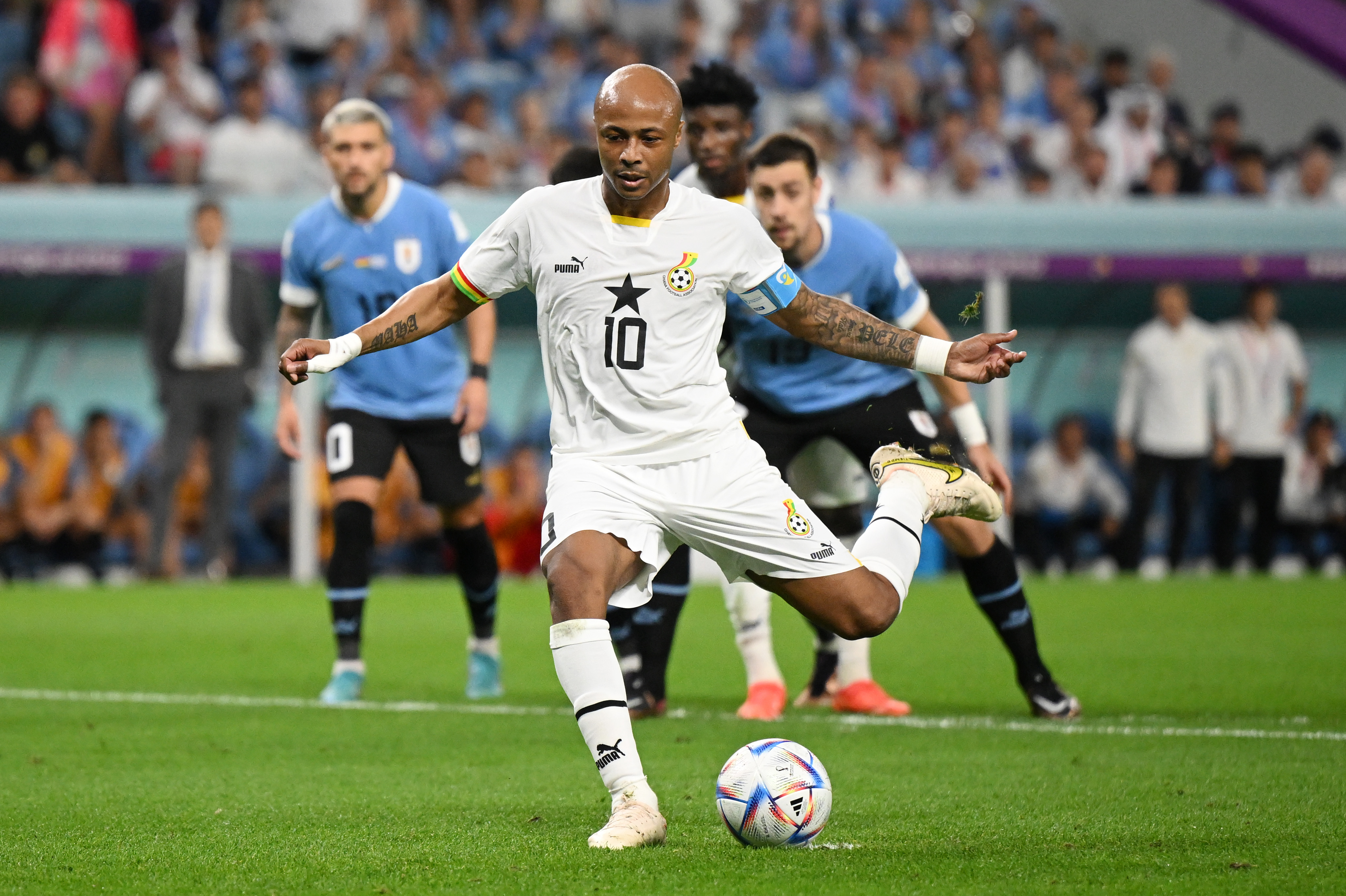 André Ayew photo 3